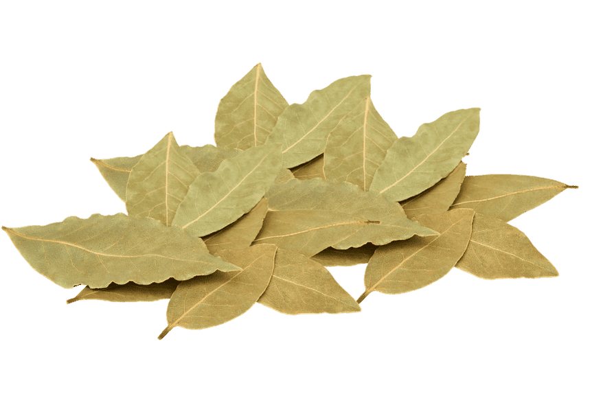 ورق غار سوري