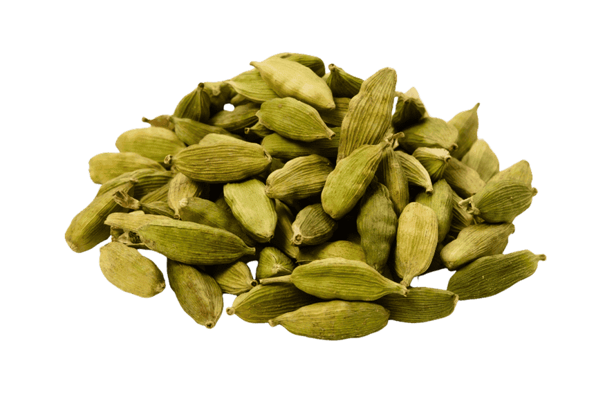 حبهان